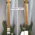 Charvel dk24 matte army 14 