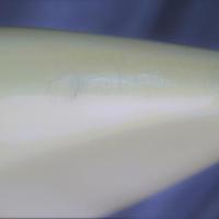 Dsc 7865