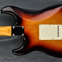 Dsc 8817