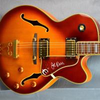 Epiphone gibson joe pass emperor korea japan 26 