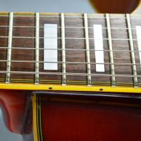Epiphone gibson joe pass emperor korea japan 6 