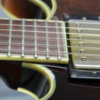 Epiphone gibson sheraton ii deluxe limited edition vs korea import japan 33 