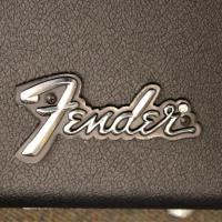 Etui fender 3 