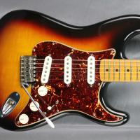 Fender stratocater standard 4332169 2x