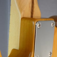 Fender telecaster deluxe hybrid vnt tim shaw japon japan 28 
