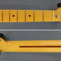 Fender thinline telecaster tn 72 japan 10 