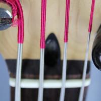 Frets 9 10 truss ok 1