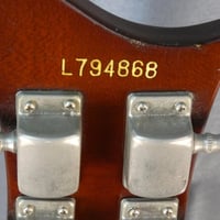 Greco violin bass vb500 vb 500 sunburst japon japan 2 