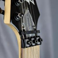 Ibanez floyd gio 4485325 2x