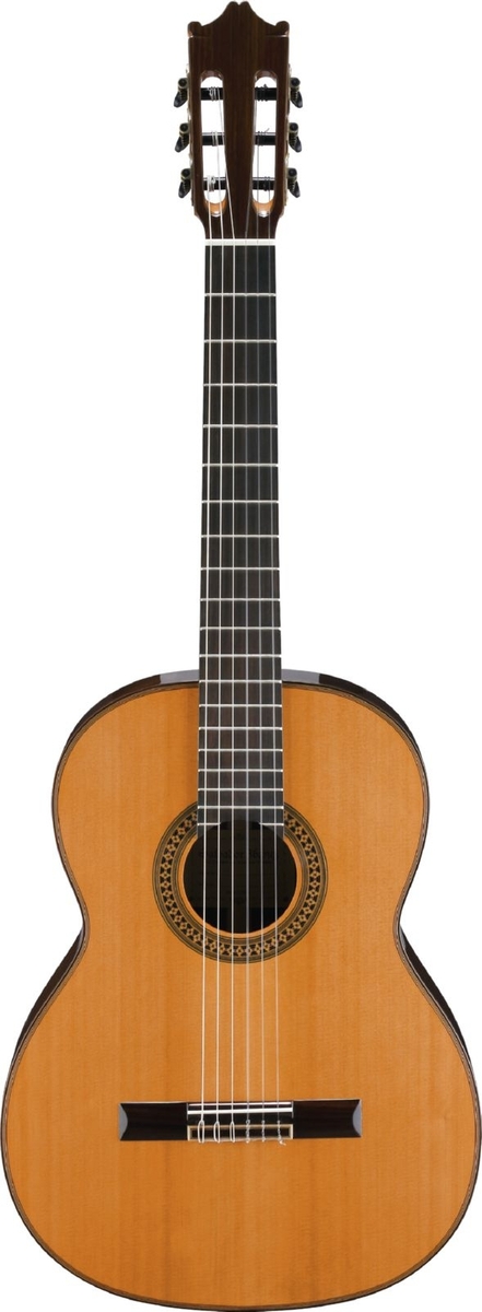 Ibanez g500 nt