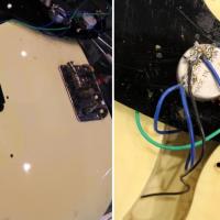 Jaune meme sous la plaque