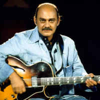 Joe pass epiphone emperor vs vintage sunburst