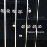 Micros seymour
