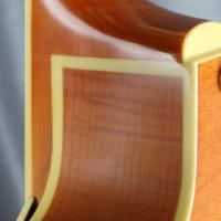 Perless jazz city honeyburst 21 