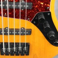 Plaque et chev changes