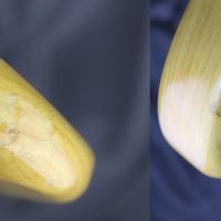 Qq petes mais tres clean 1