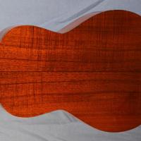 Takamine parlor pt 406 japan import 21 